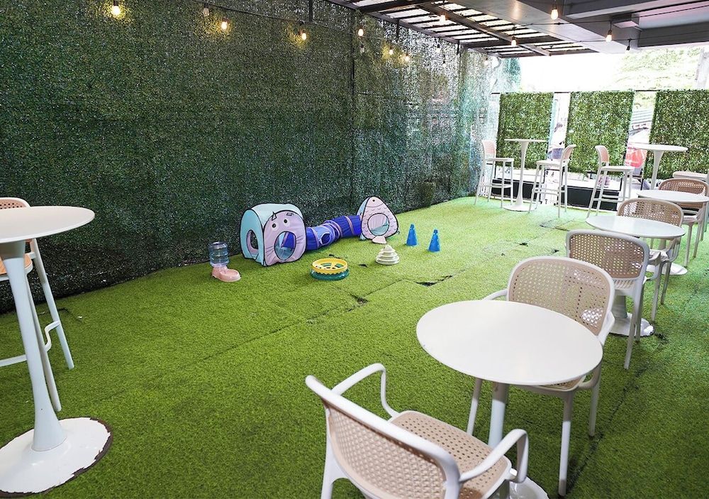 Pet-friendly amenities