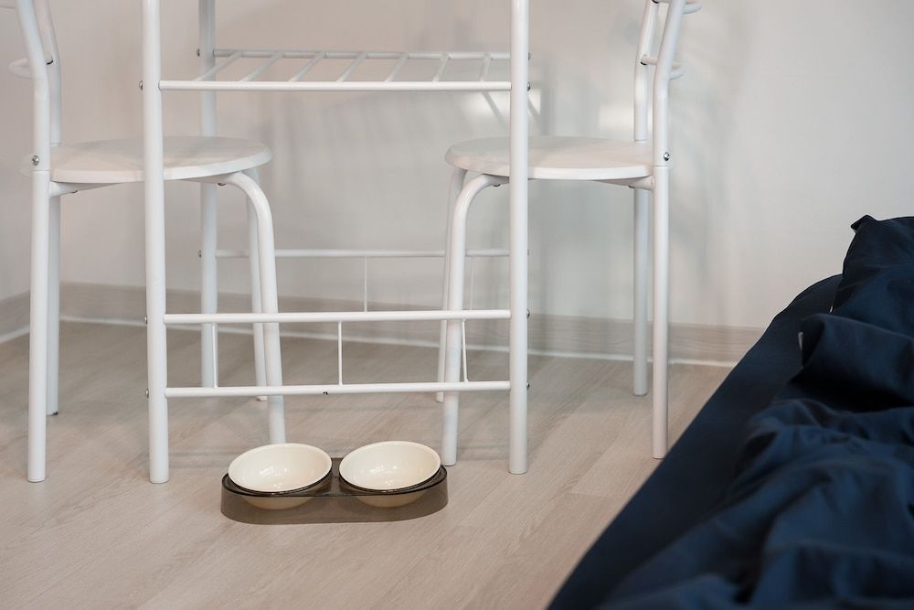 Ganghwa Aboha Pet-friendly Pension Basic Room, 1 Bedroom (102(Pet-friendly)) 10