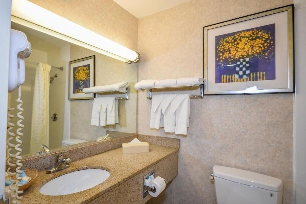 Charles River Inn Single Room, 2 Queen Beds 3