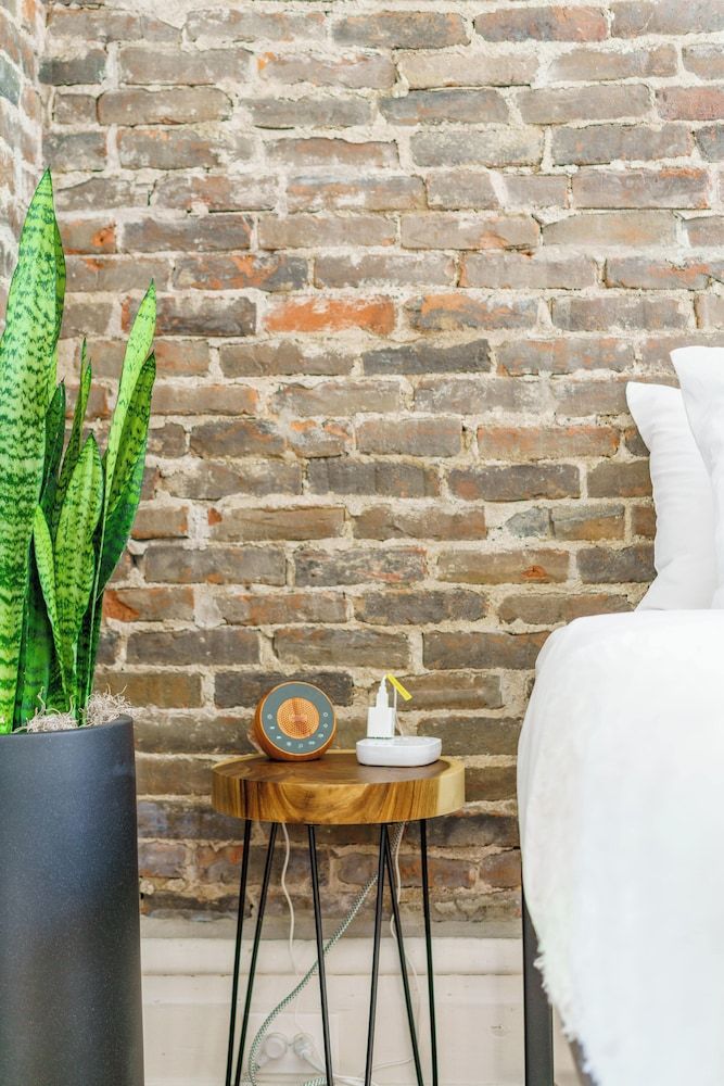 Jungle House Boutique Suites – Short North & Convention Center Jungle Gem 21