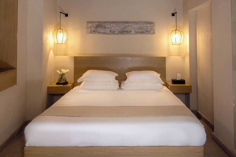 Orchid House Coyoacán Standard Room