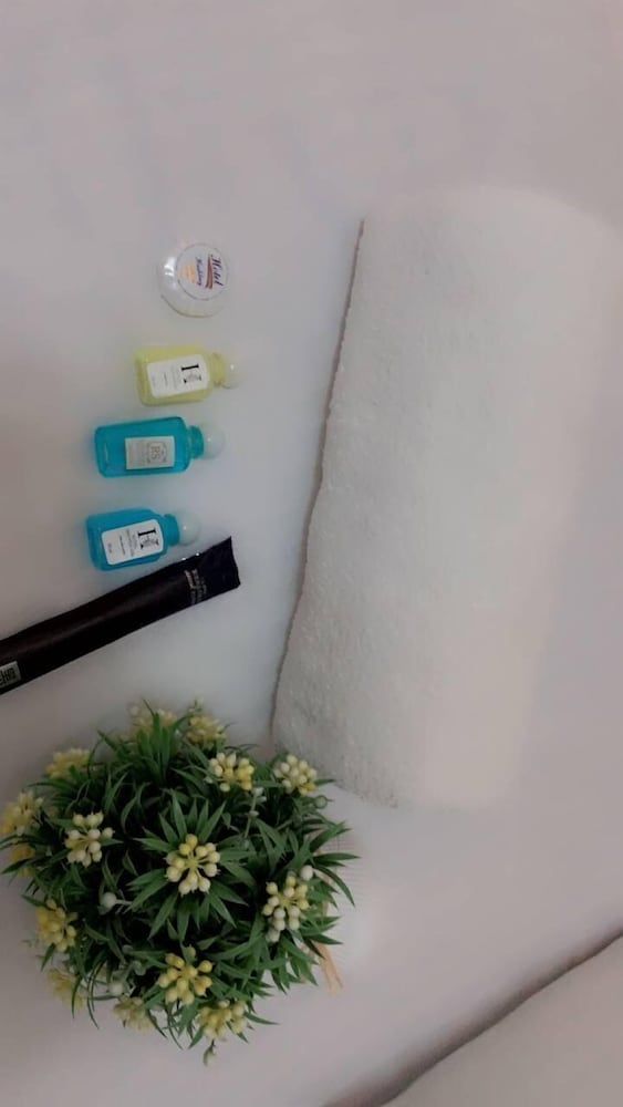 UMMU ROHAT Standard Double Room, City View 8