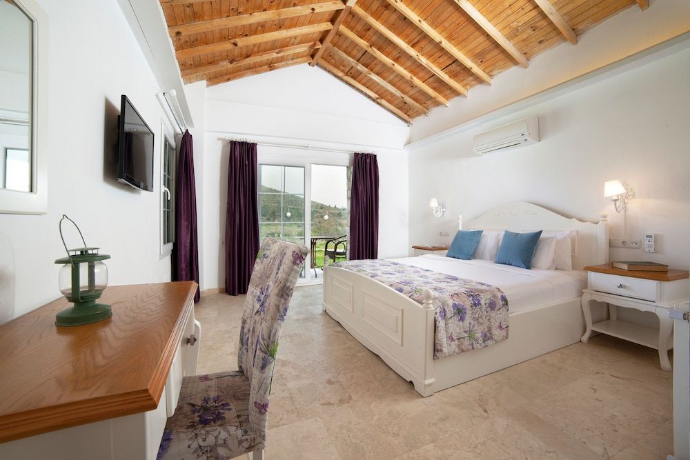 Vinifera Vineyards Hotel Executive Suite