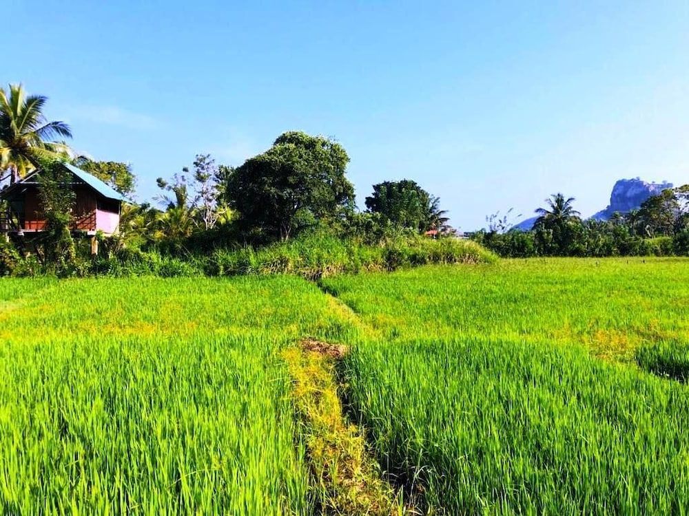 Land view from property