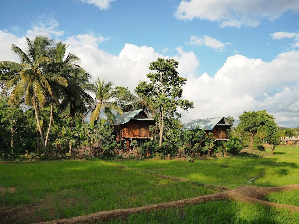Sigiri Paddy Field Hut