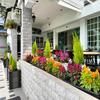 Puncak Inn Fraser's Hill