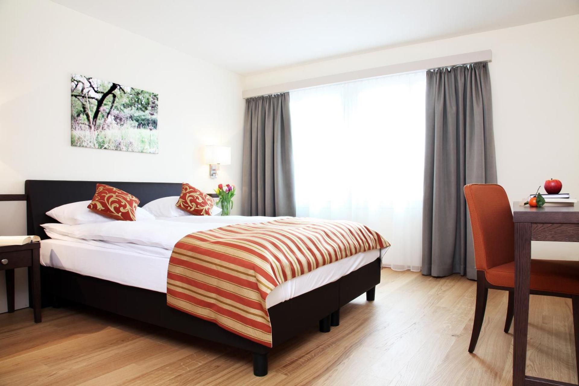 Large One-Bedroom Apartment