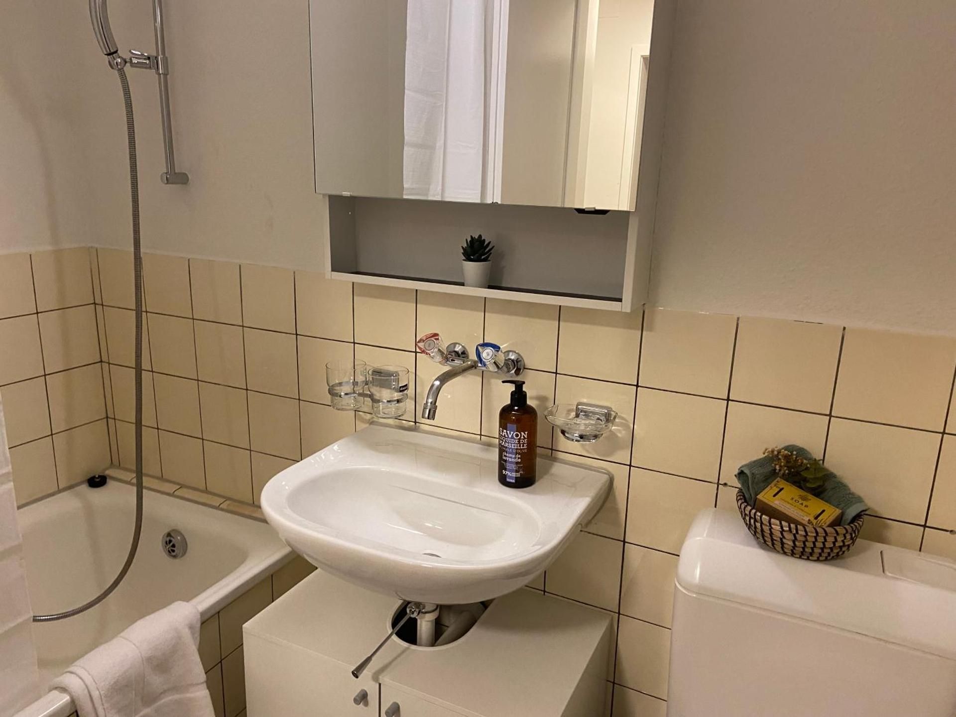 Comfort 1 and 2BDR Apartment close to Zurich Airport One-Bedroom Apartment 3