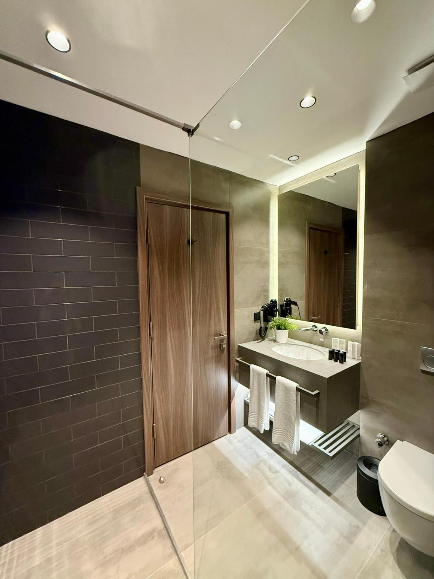 One-Bedroom Apartment with City View