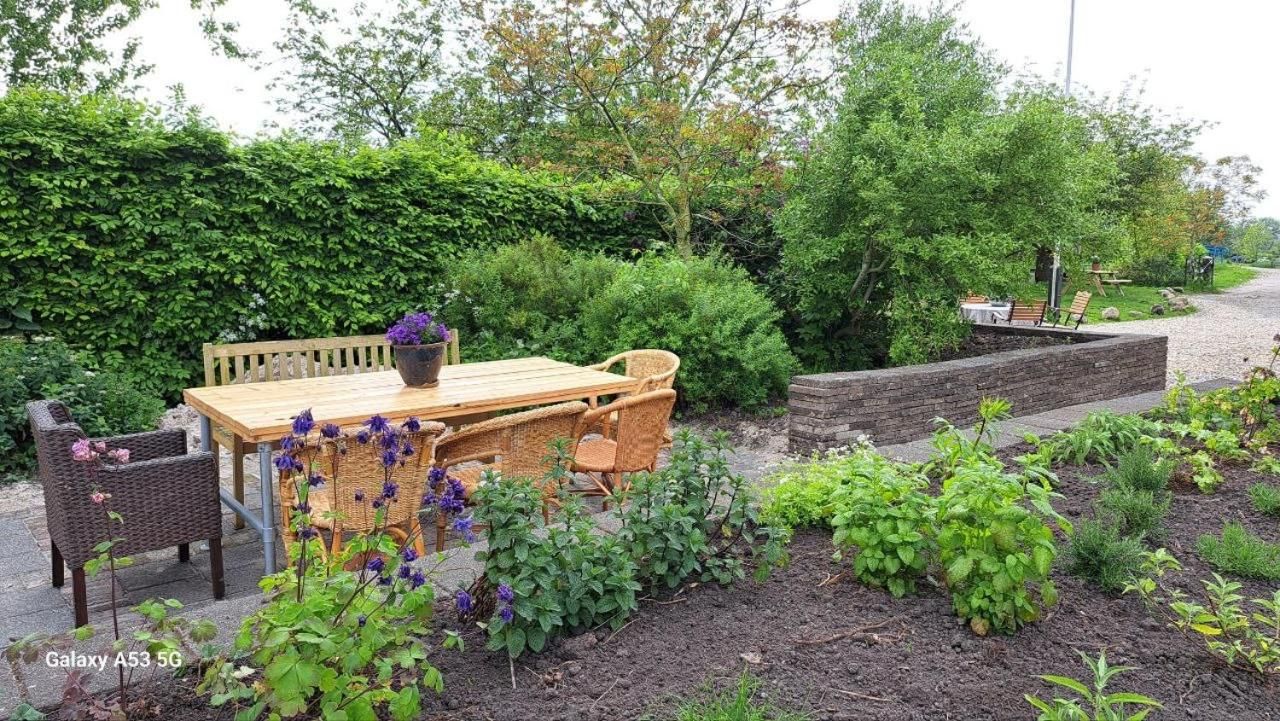 Surrounding environment