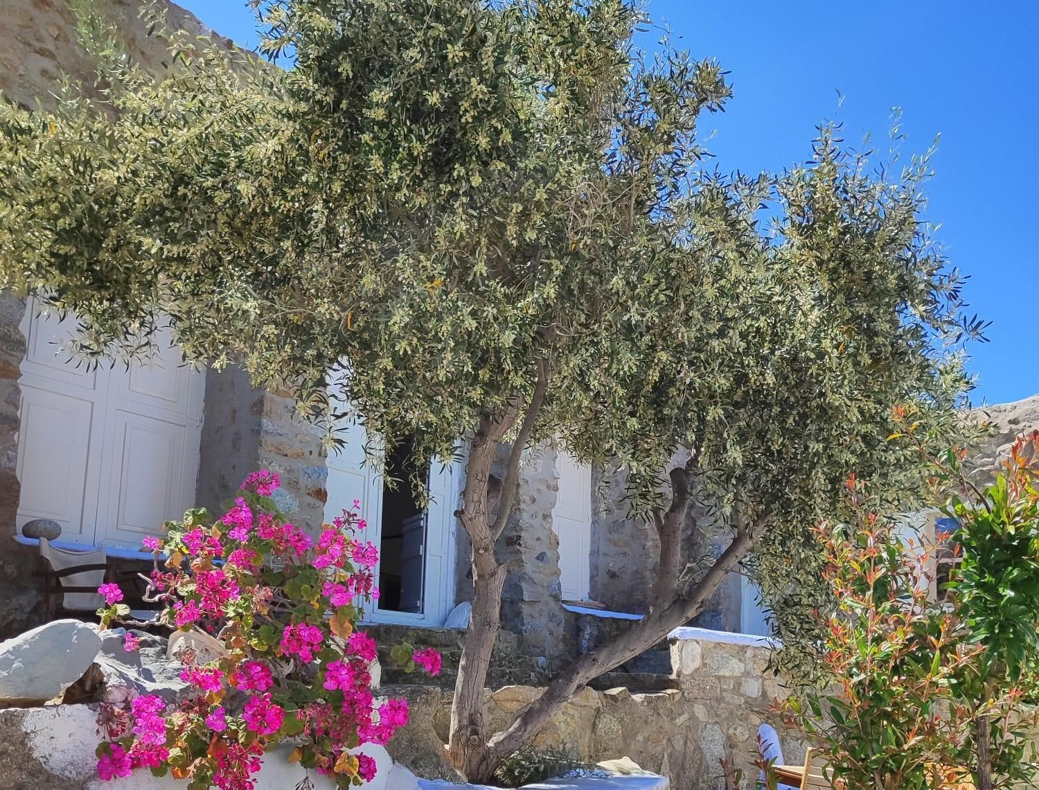 Surrounding environment