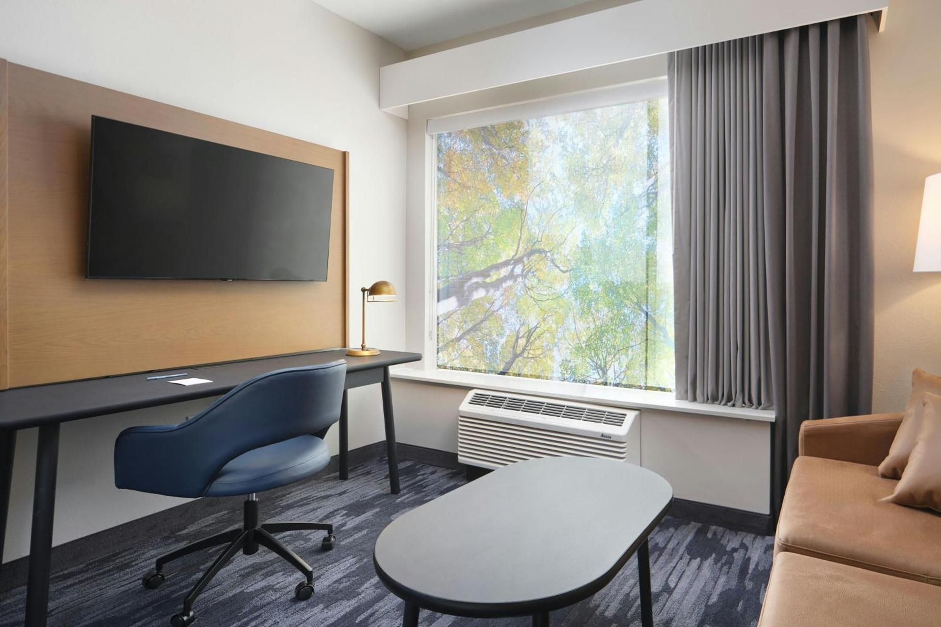 Standard King Room with Sofa Bed