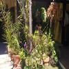 Suite no jardim - Praia dos Anjos