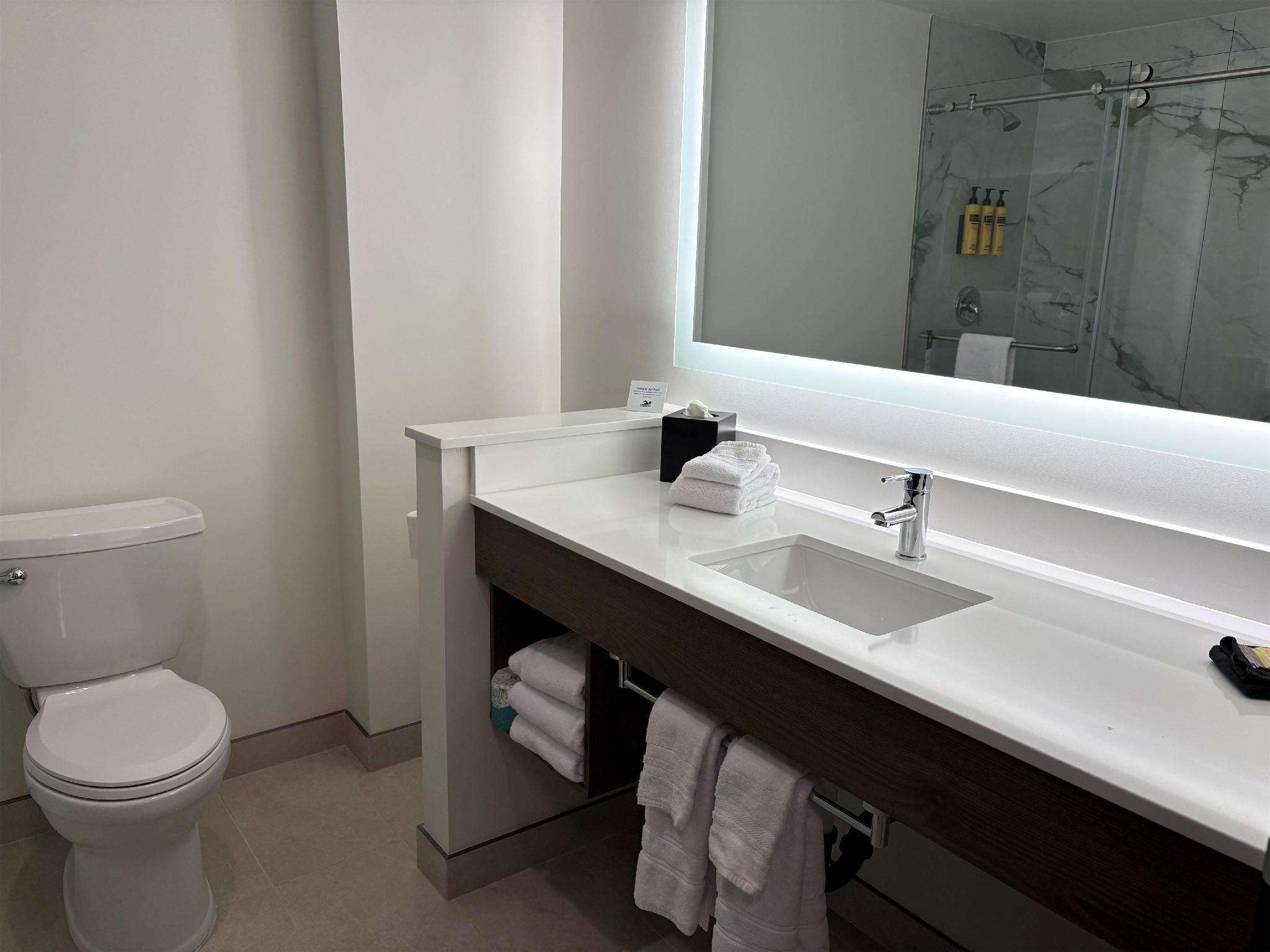 1 King Bed, Non-Smoking, Work Desk, Microwave And Mini-Refrigerator, Wi-Fi, Full Breakfast