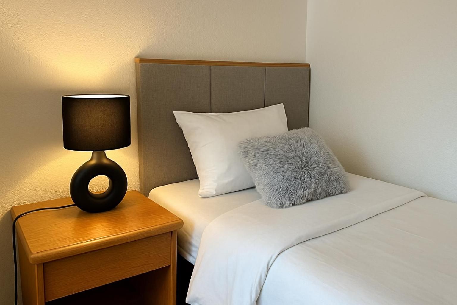 Hotel Nassauer Hof Frankfurt Zeilsheim Single Room With Private Bathroom