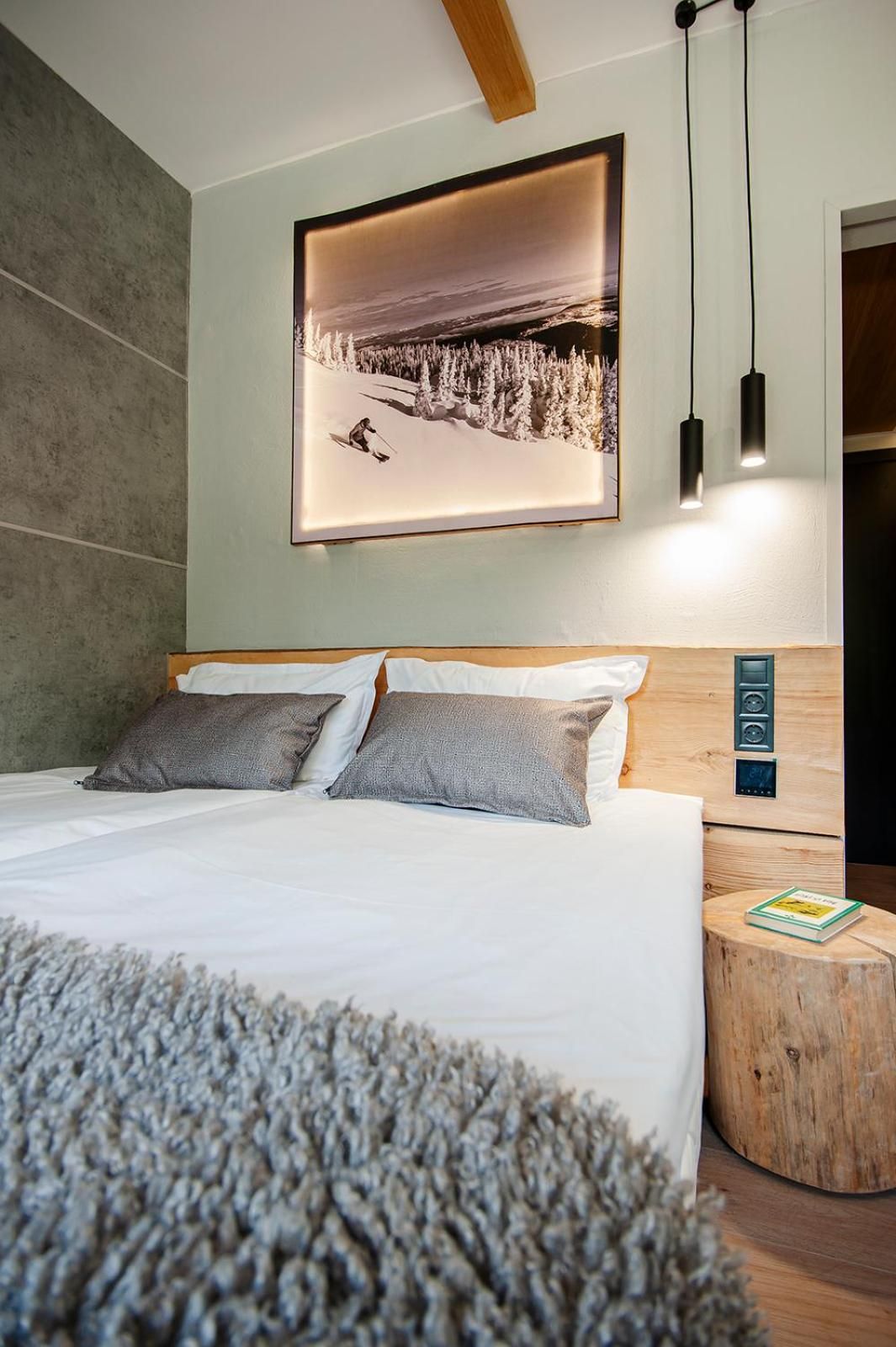 Park Hotel Ela Economy Double Room 2