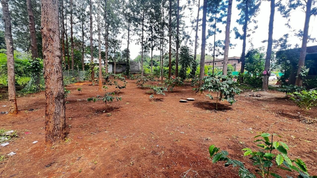 Surrounding environment