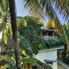 Amazing Ocean View Treehouse & Pool