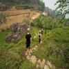Barang Village Community Homestay
