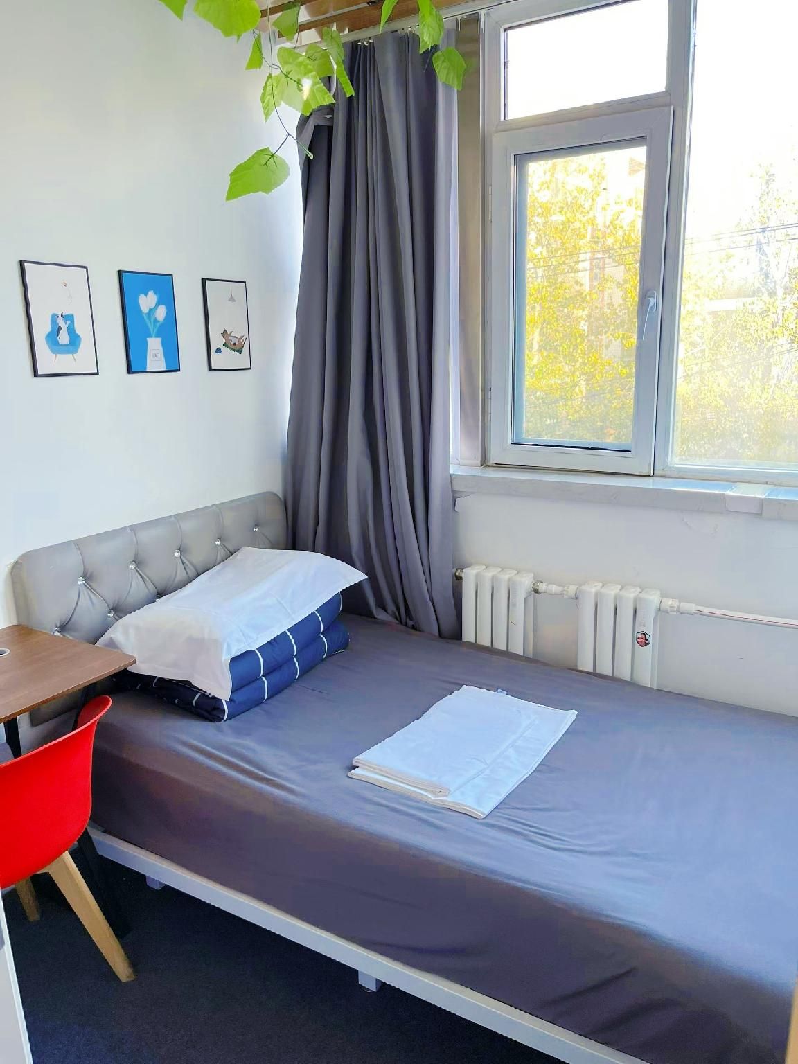 Guesthouse Single Room