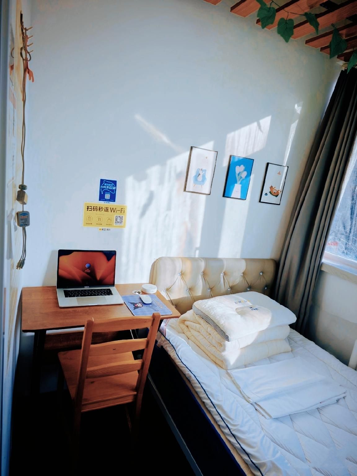 Guesthouse Single Room