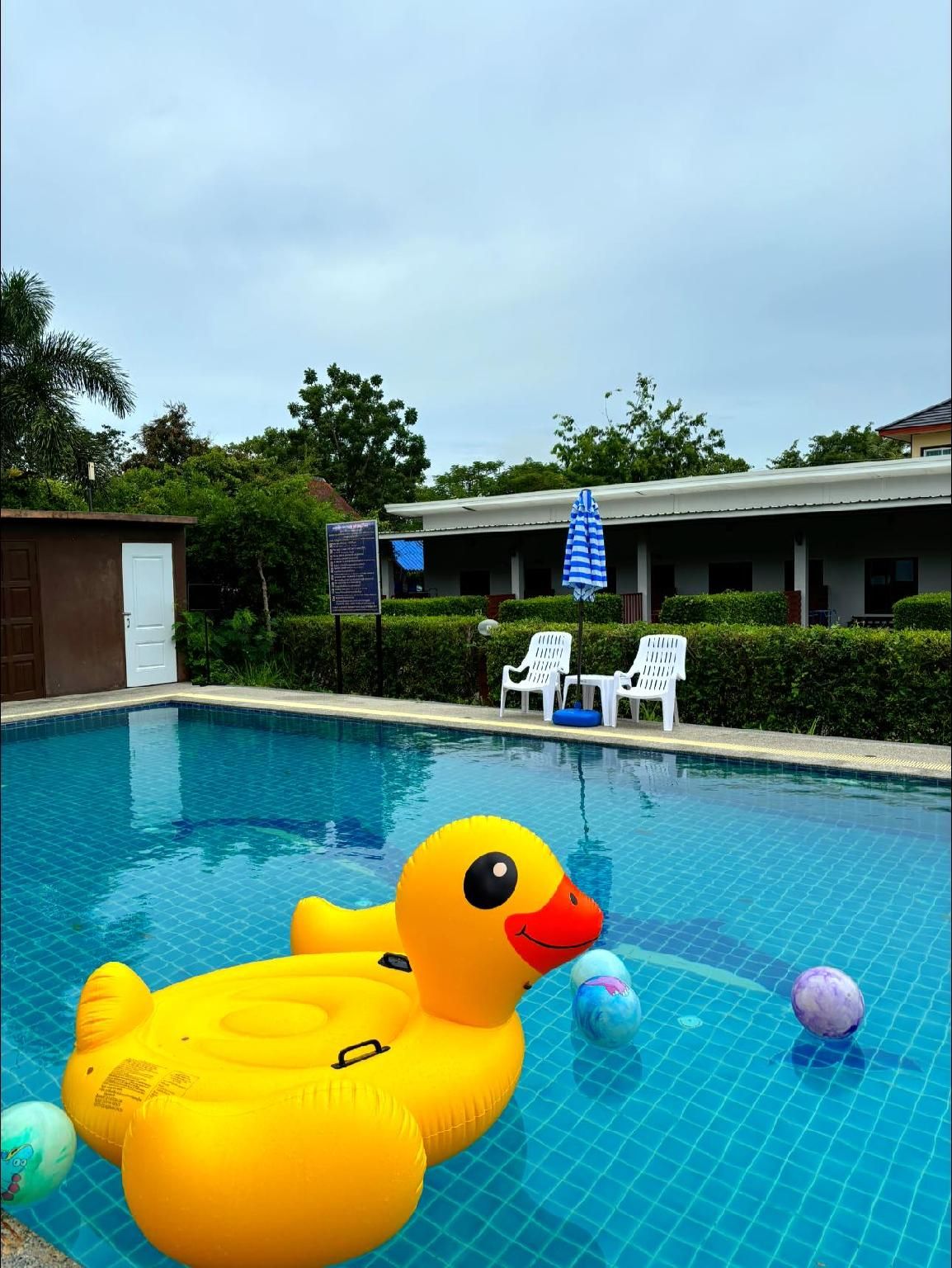 Swimming pool