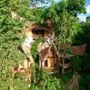 Moc Chau Retreat