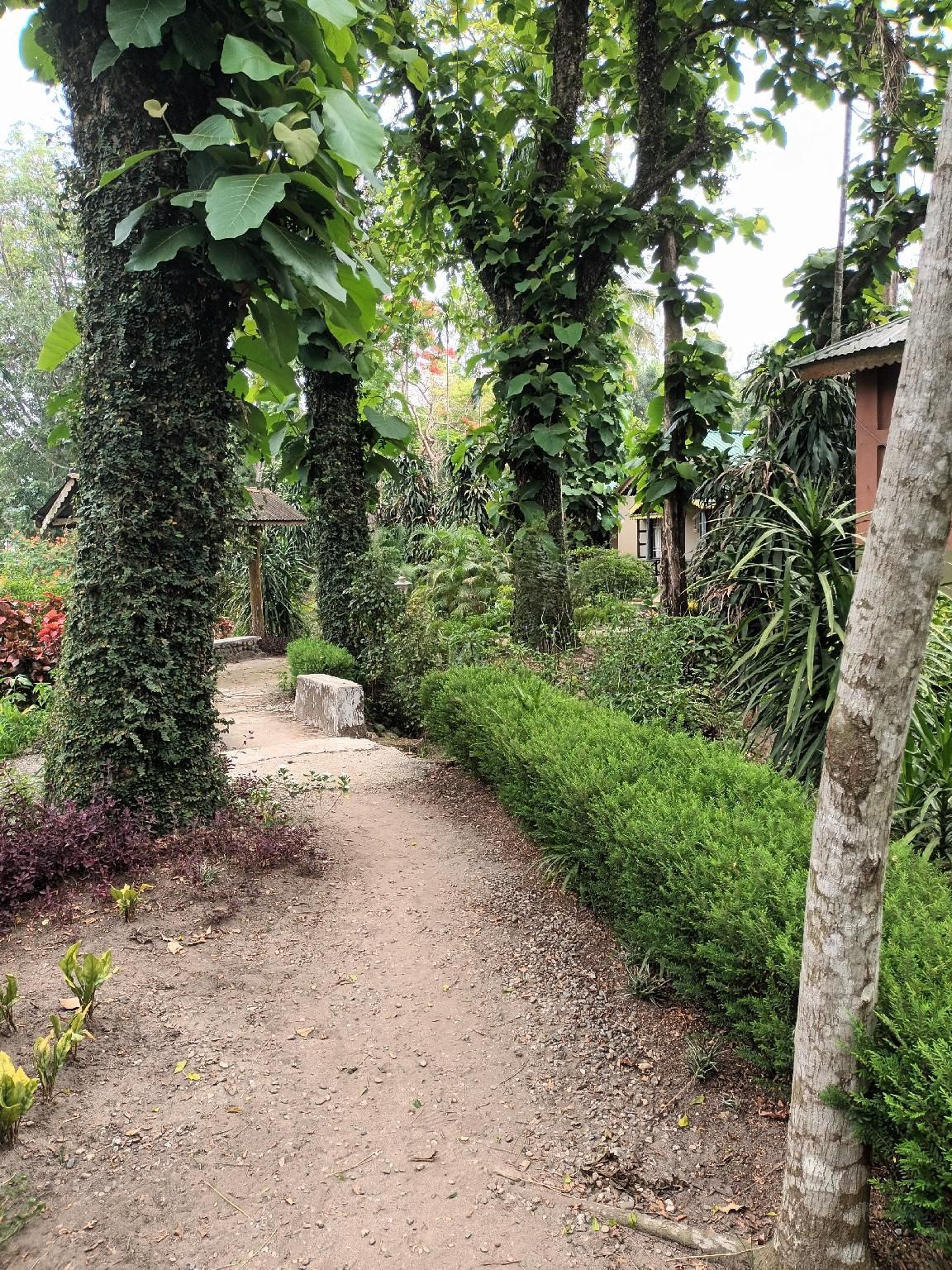 Surrounding environment