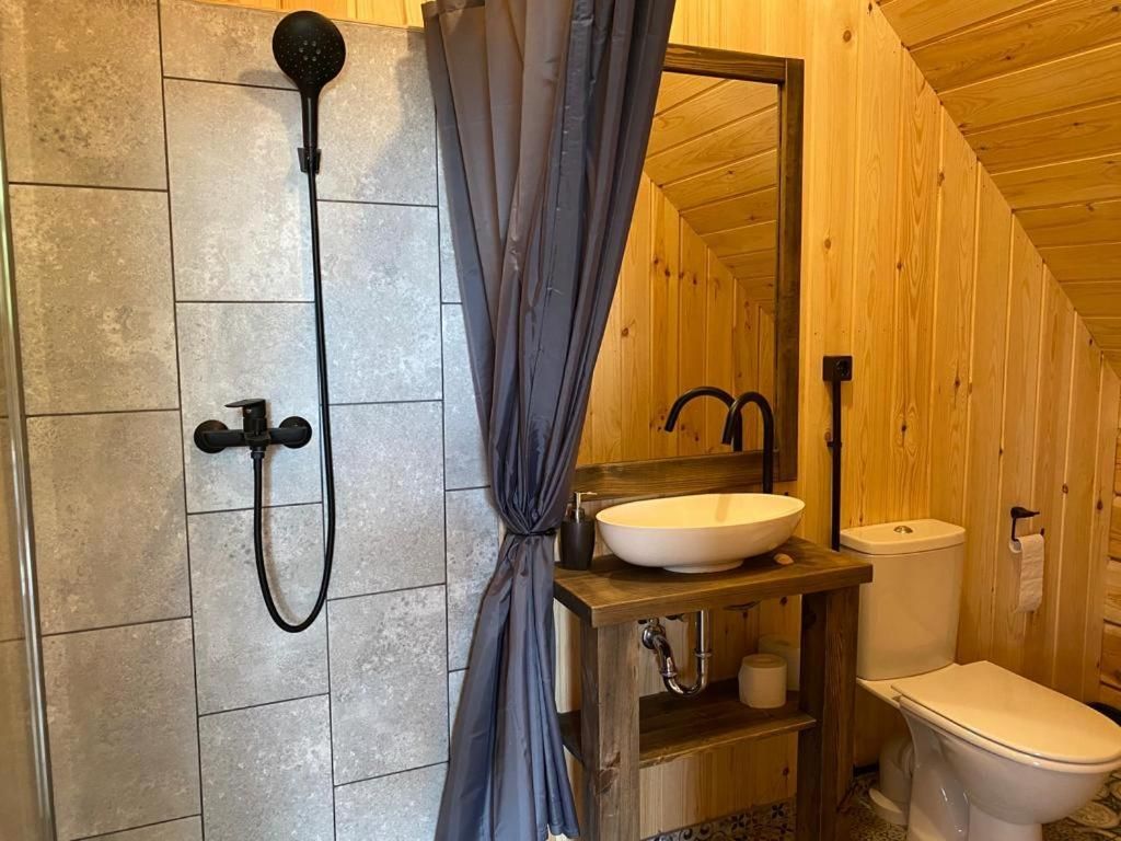 Labiesi One-Bedroom Apartment 31