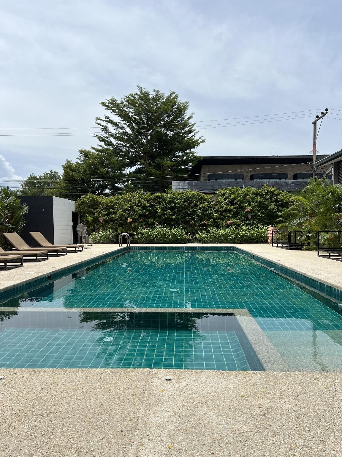 Swimming pool [outdoor]