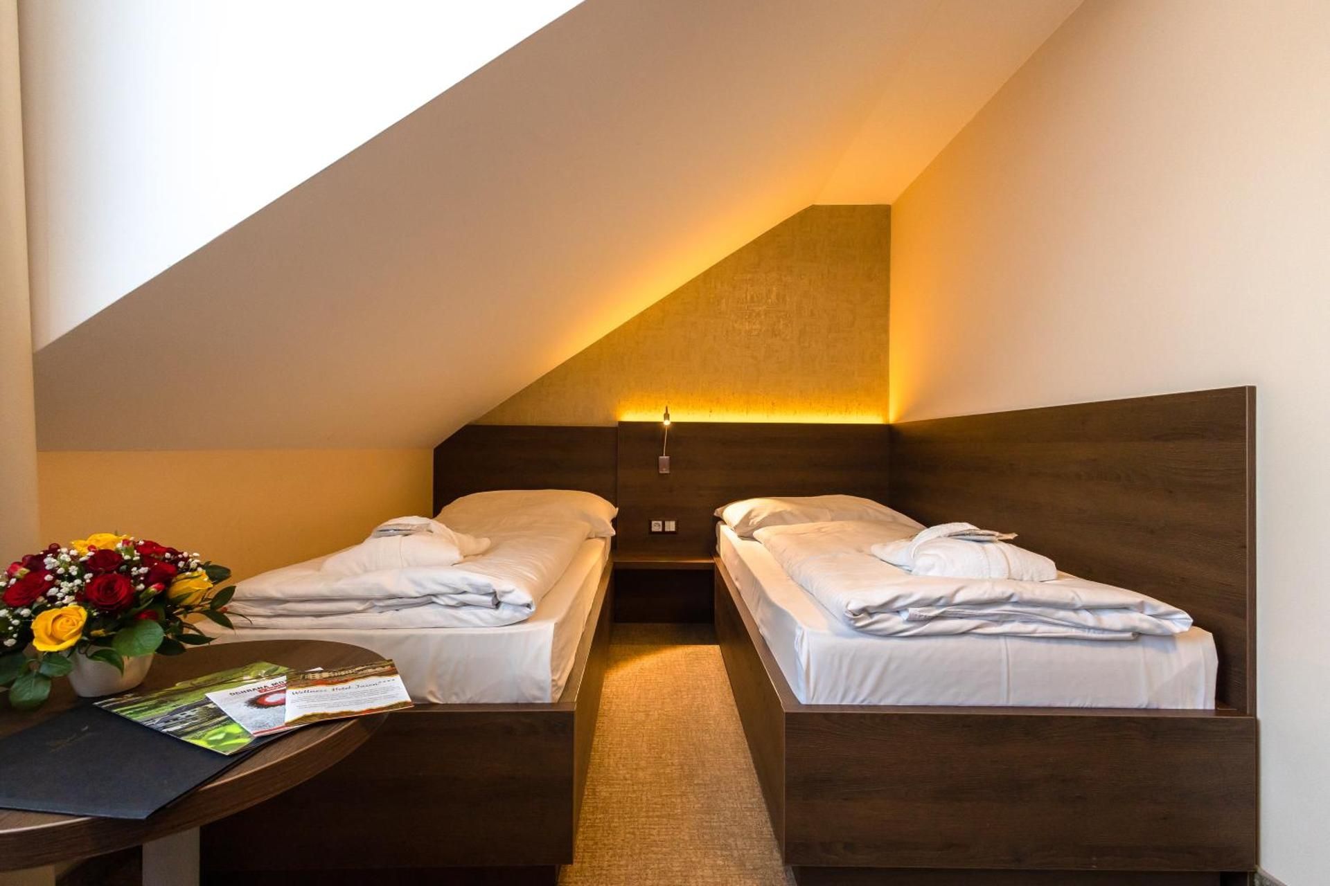 Economy Double Room with unlimited Wellness Access