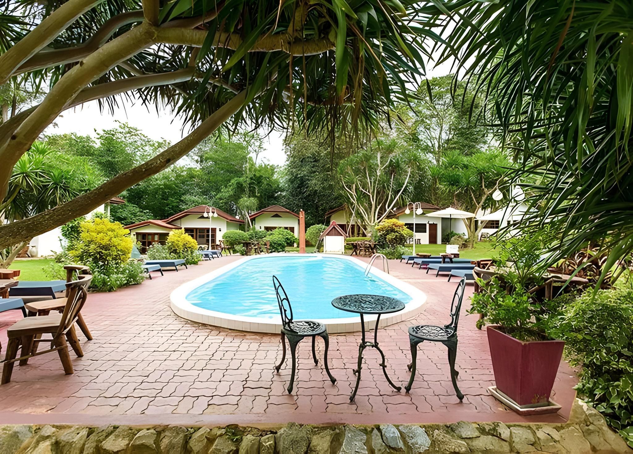 Swimming pool [outdoor]