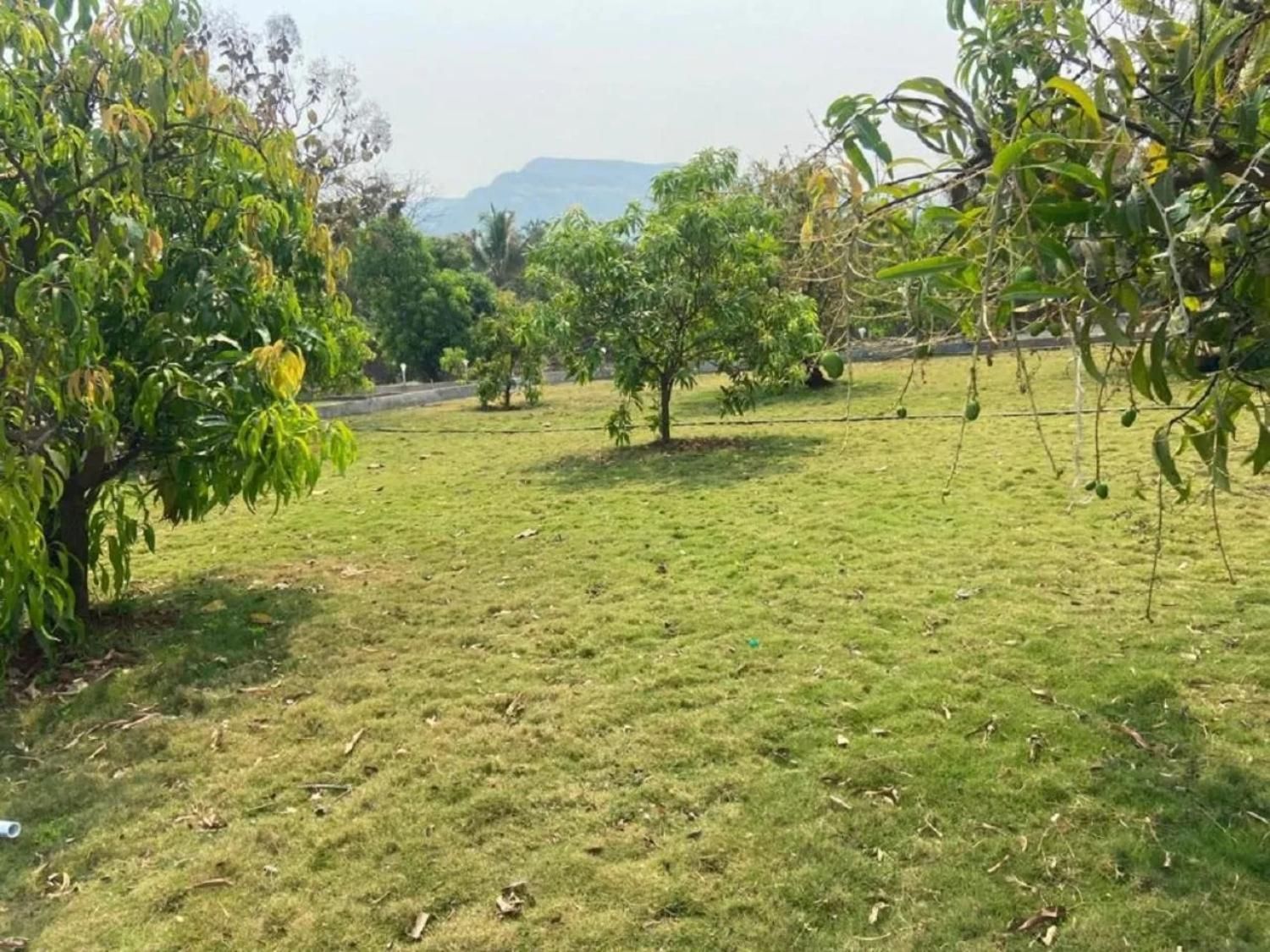 The Resort 95 Karjat Maharashtra