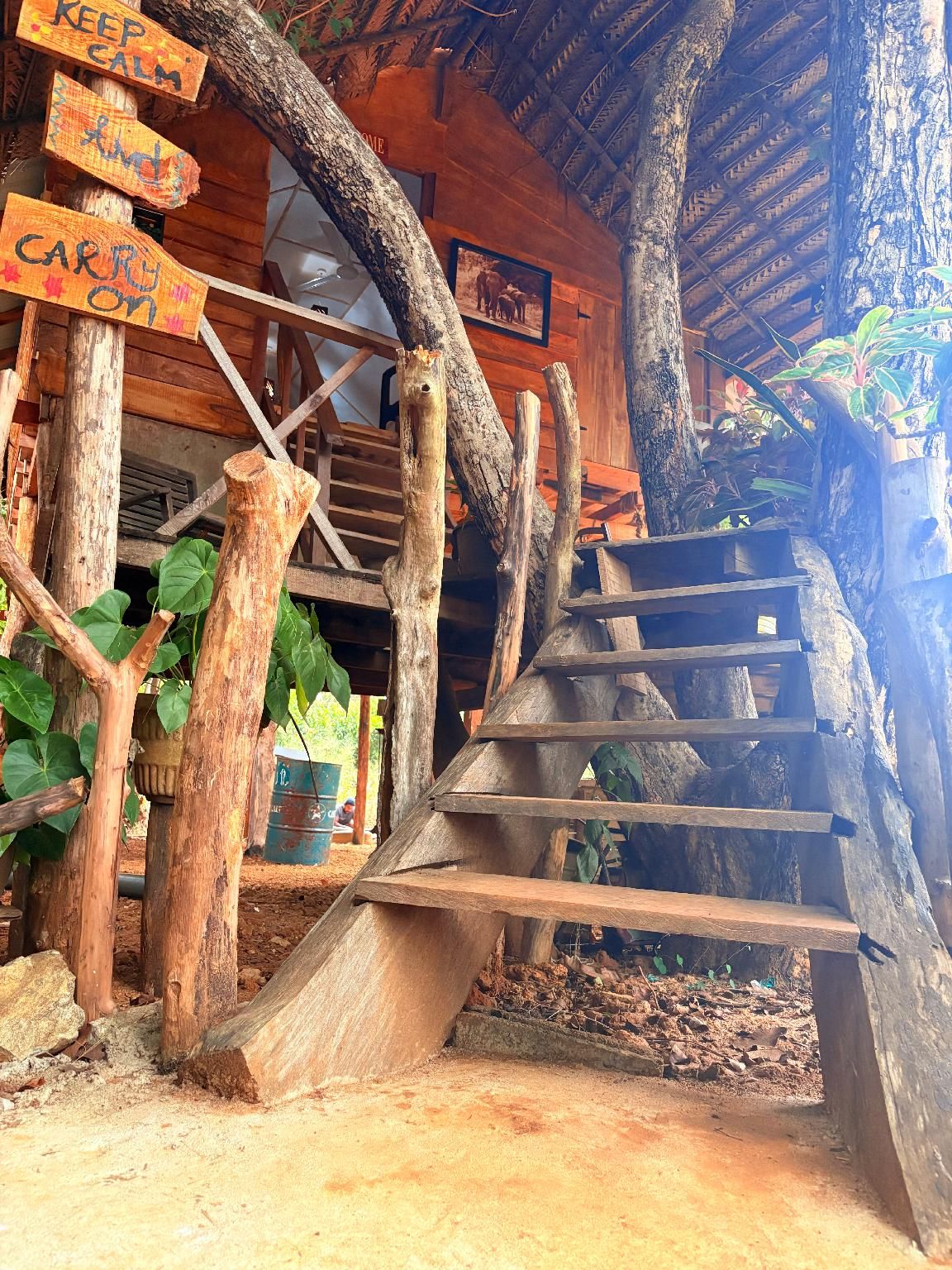 Elephant point tree house