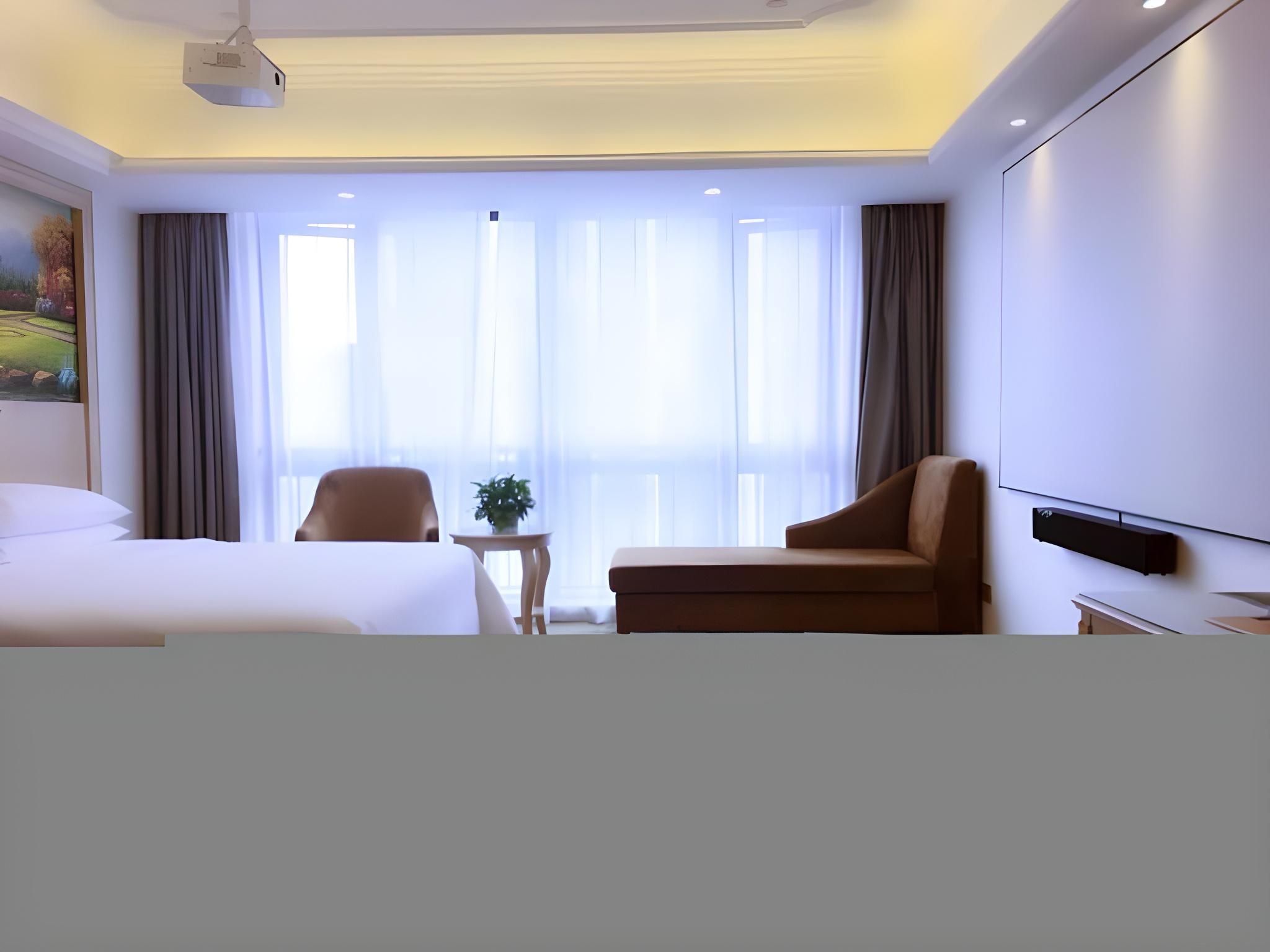 Vienna - Cinema Bed Room