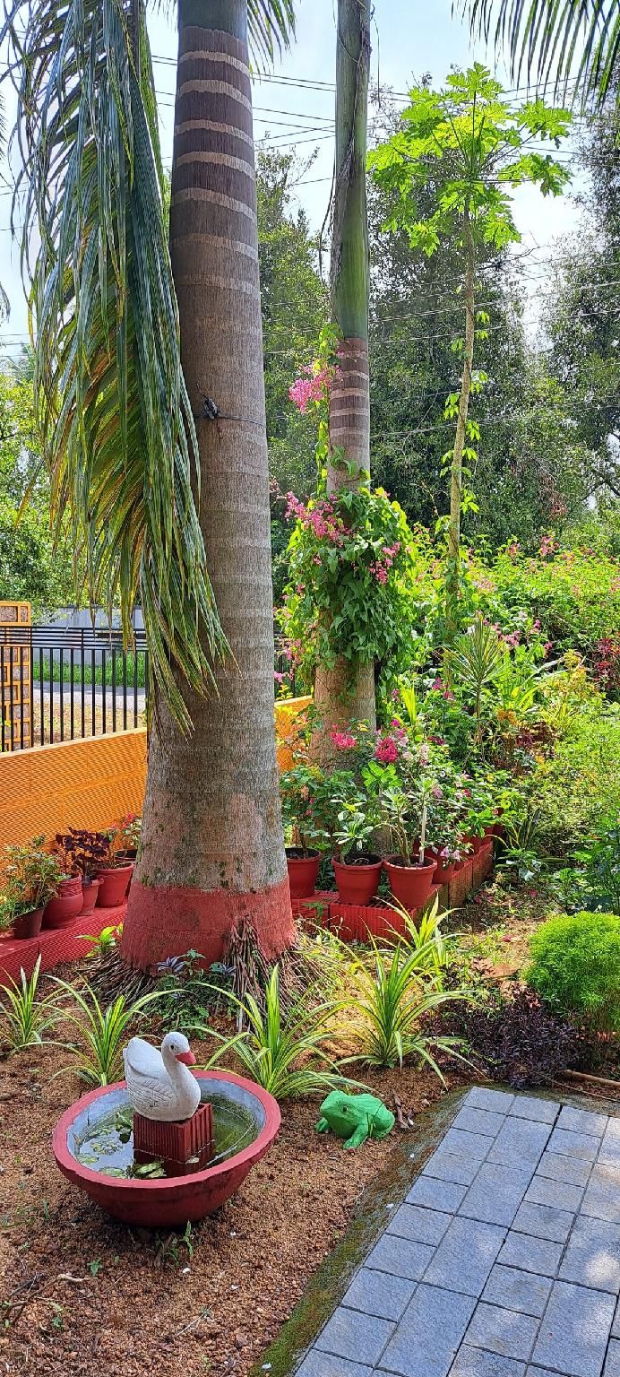 Surrounding environment