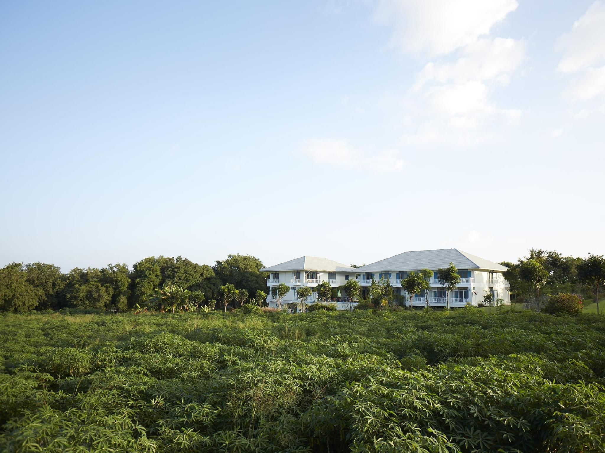 Surrounding environment