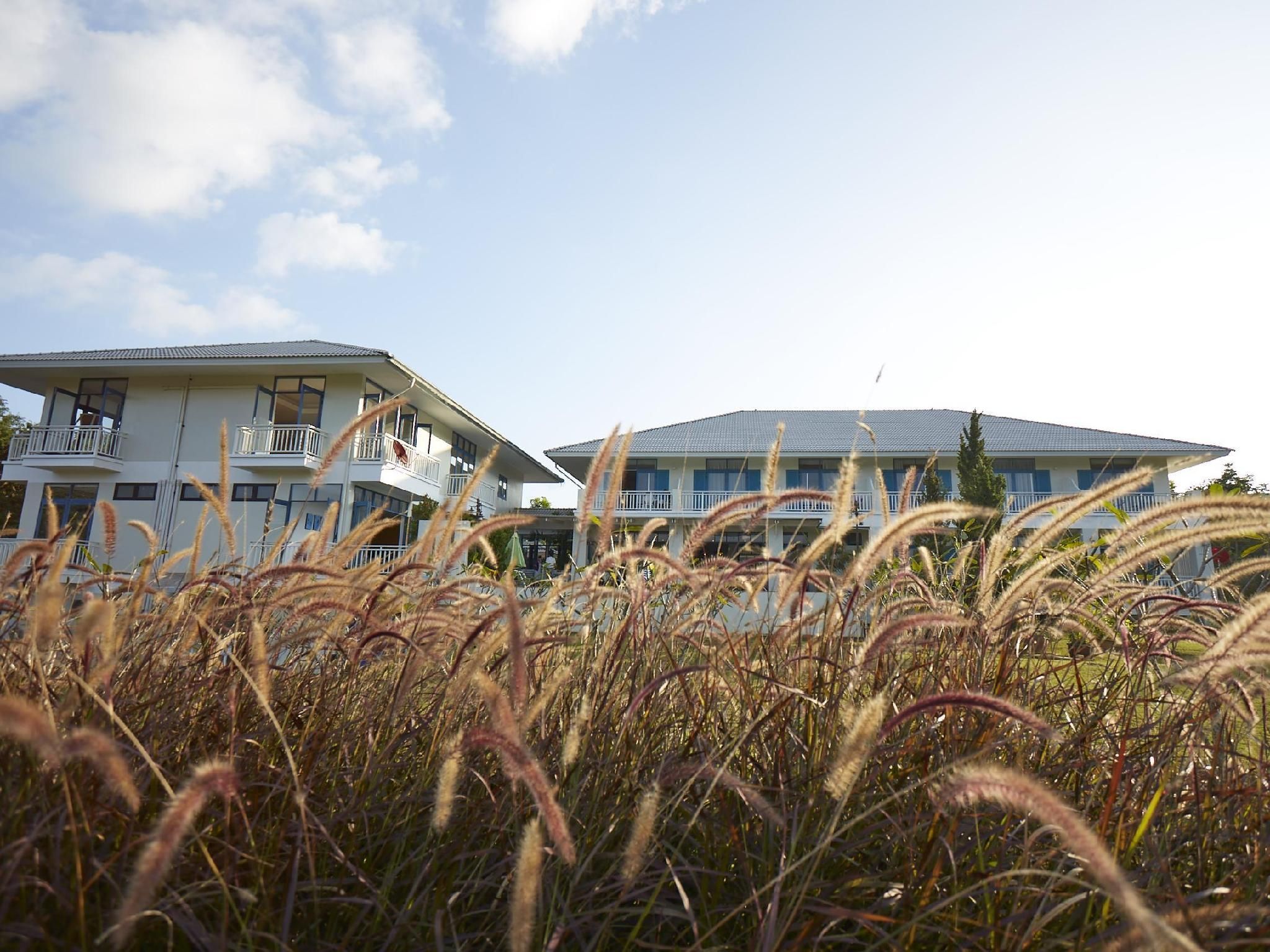 Surrounding environment