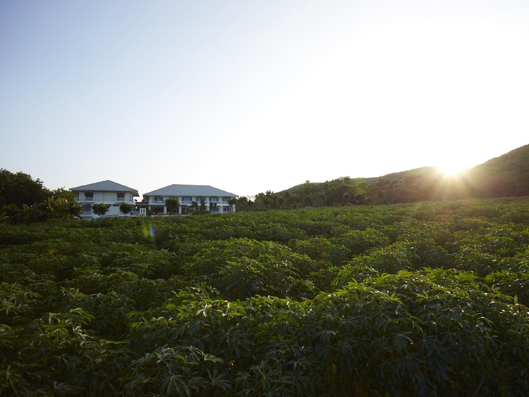 Surrounding environment