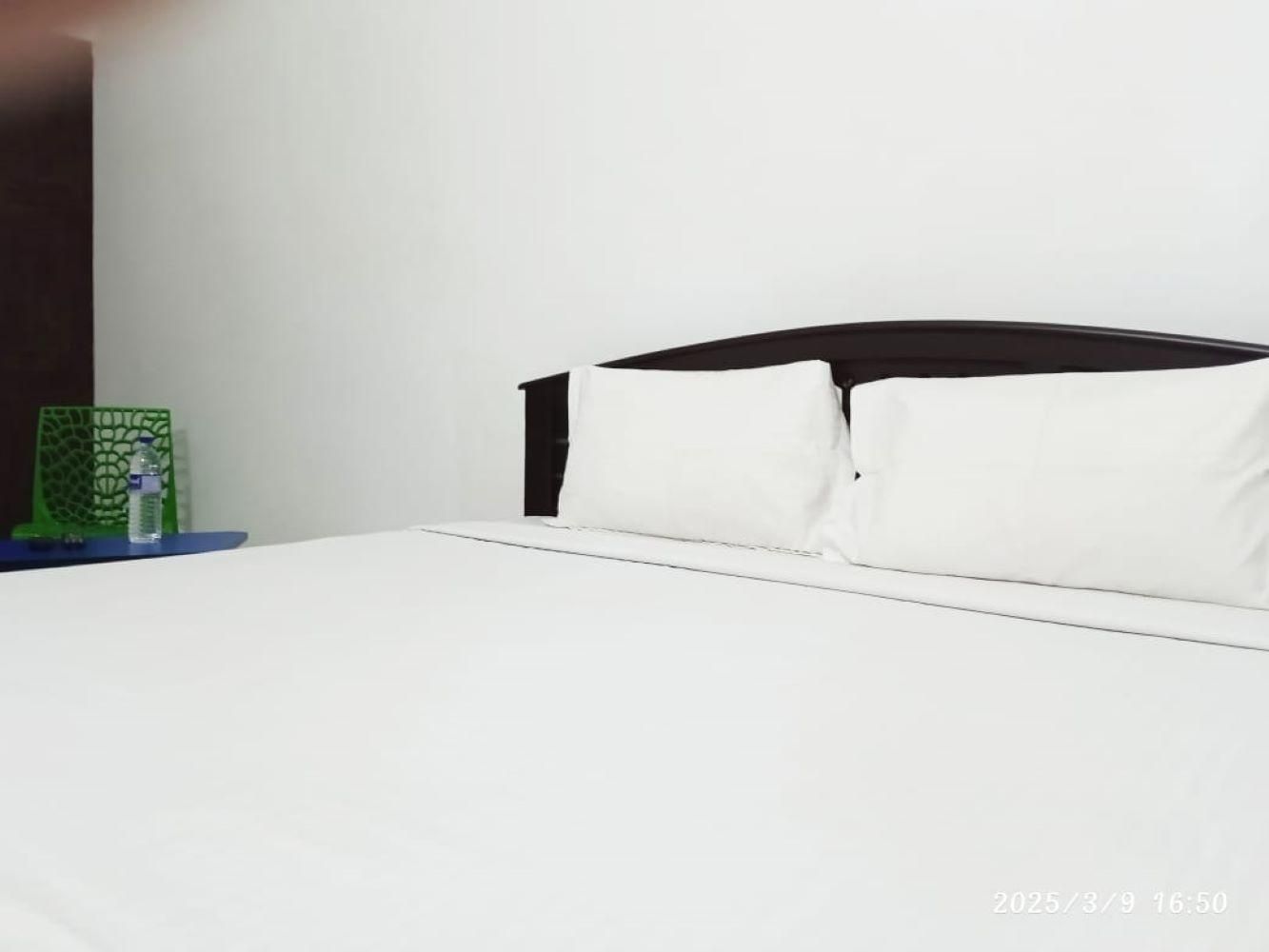 Micky Mouse Residency Deluxe AC Room