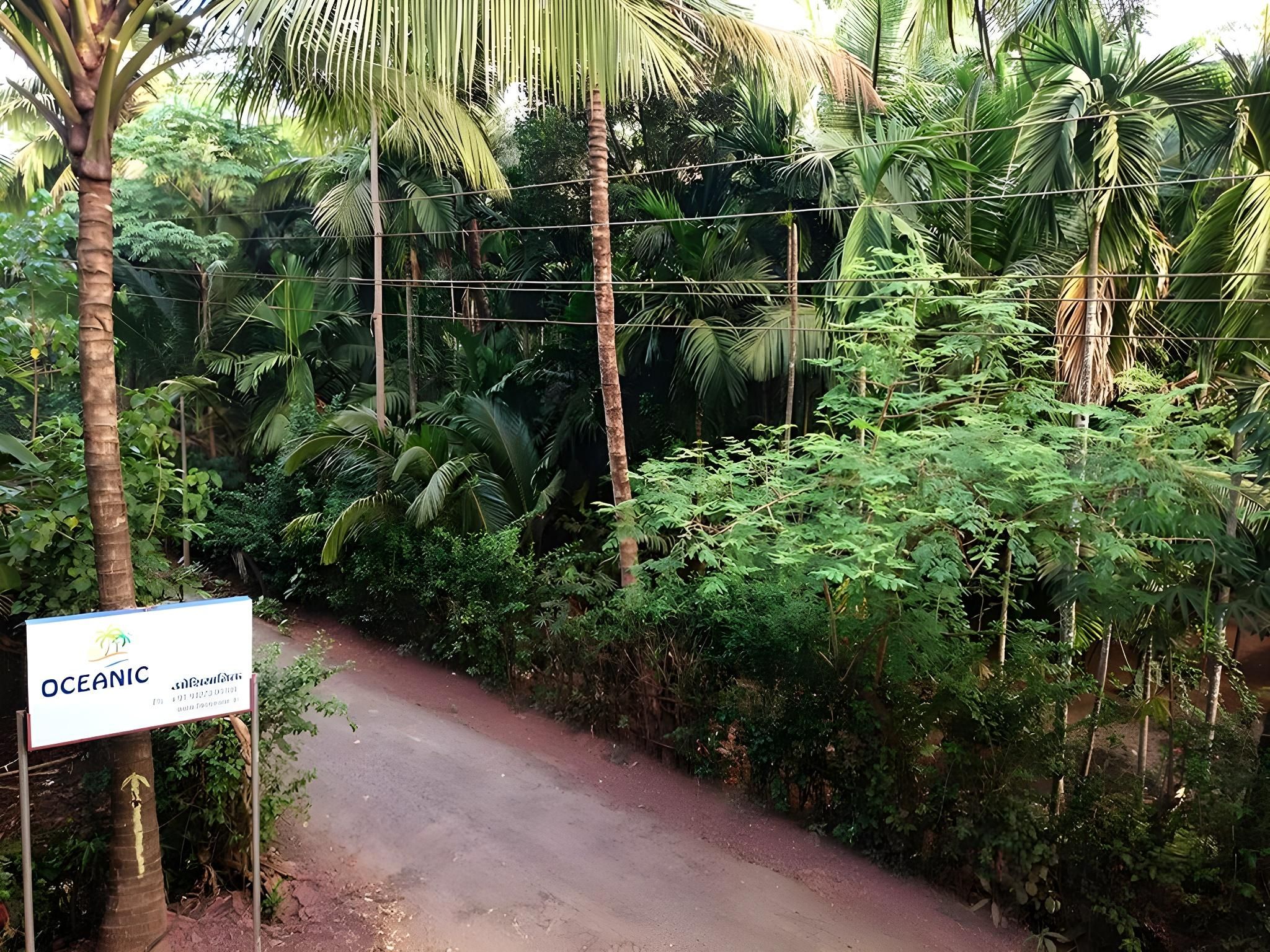 Surrounding environment