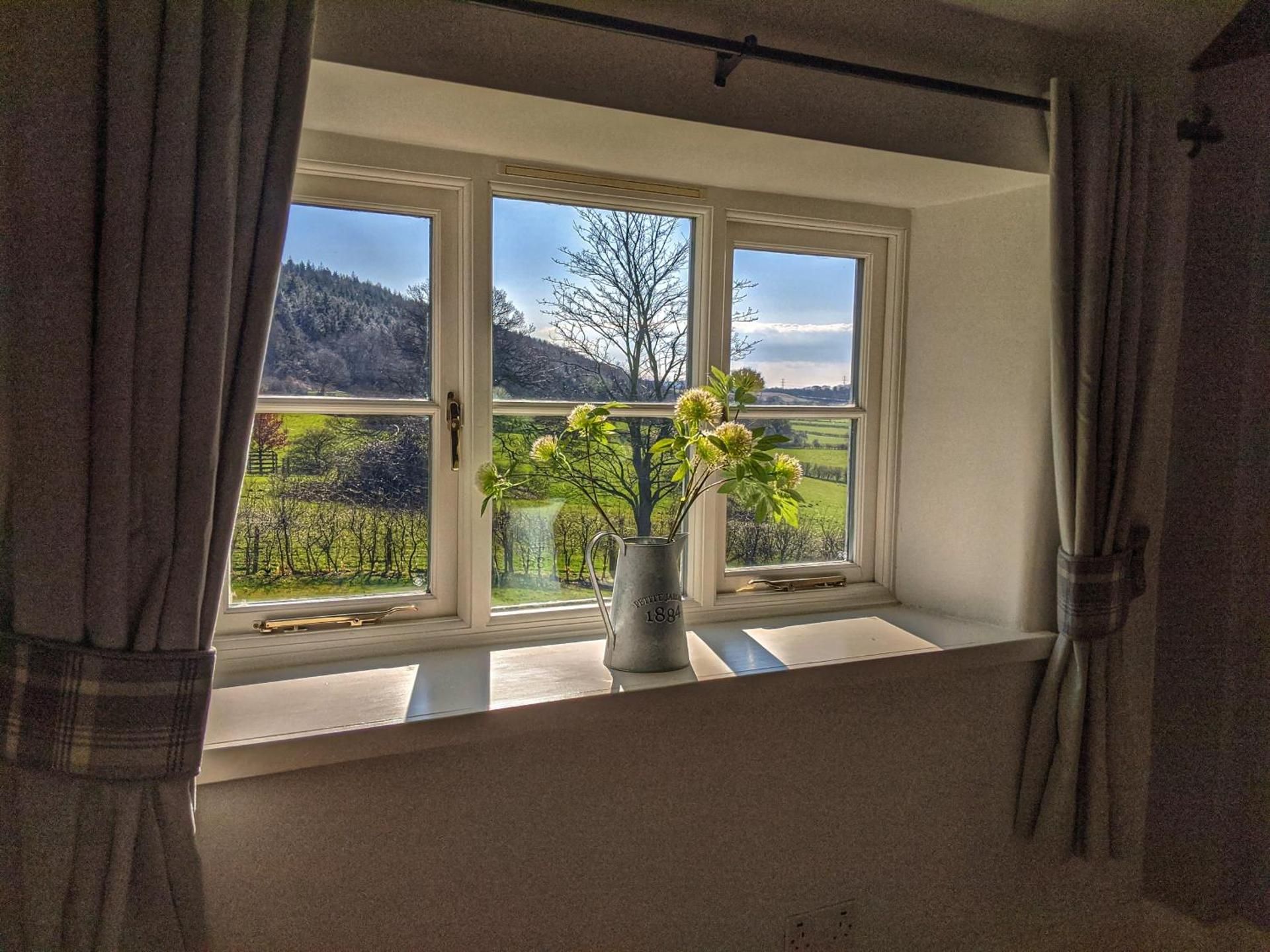 Surrounding environment