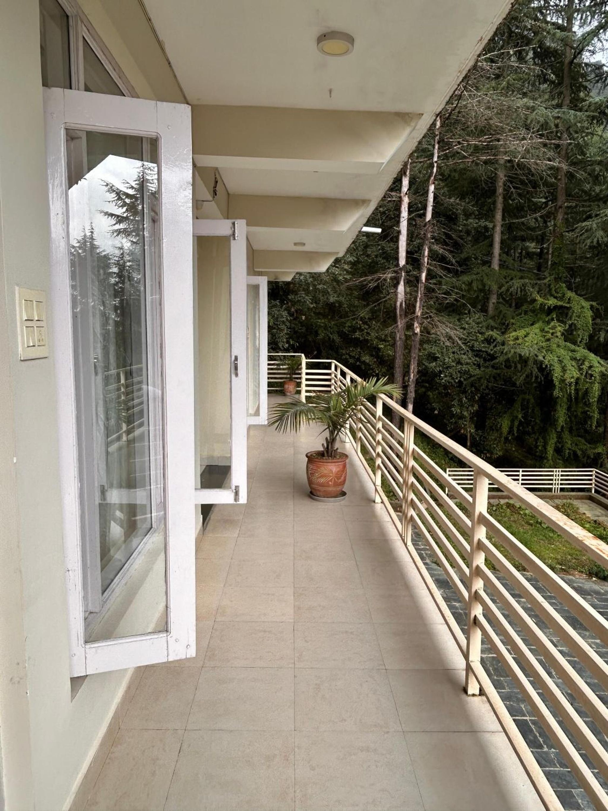 Junglaat Stays & Experiences