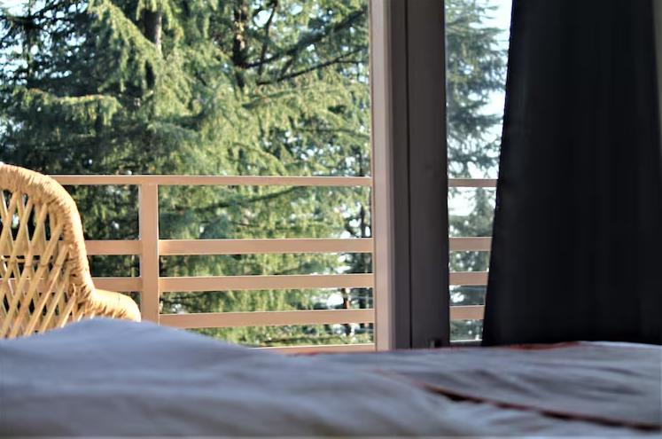 Deluxe Room with Balcony