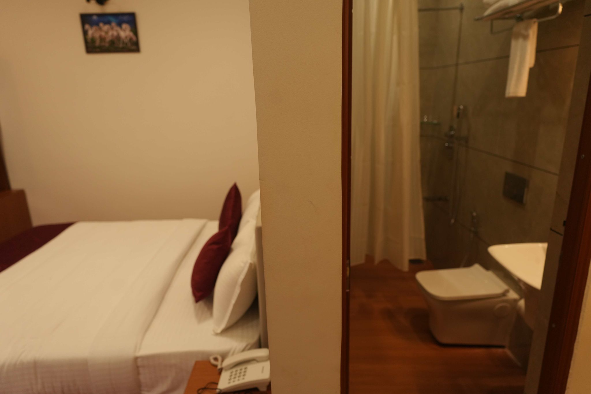 Hotel Savoy Deluxe Room AC