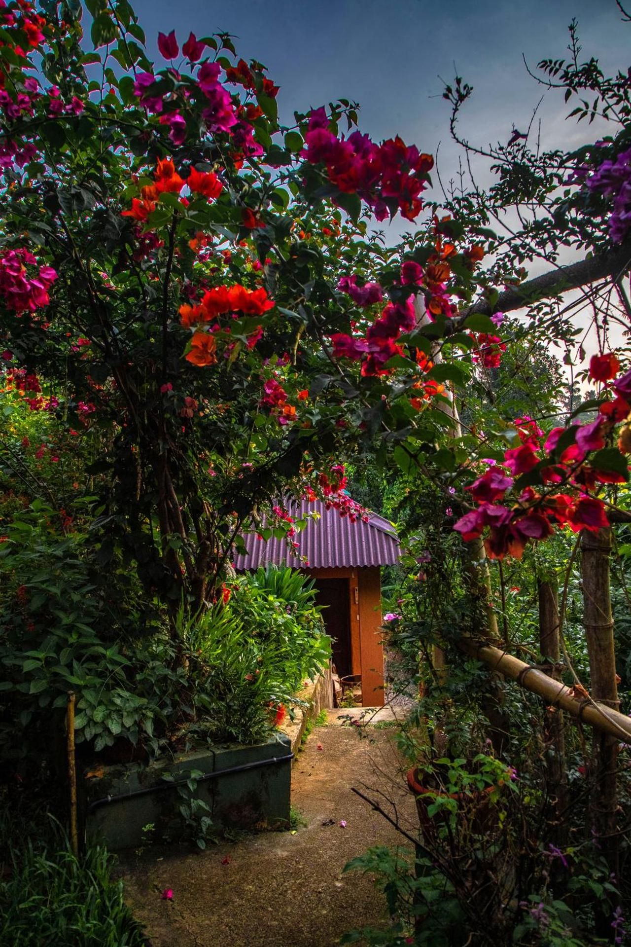 Ecotones Camps Munnar