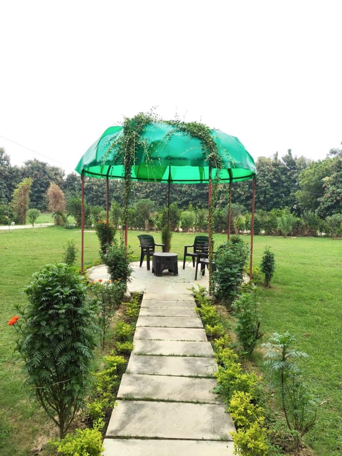 Nature Homestay, Varanasi