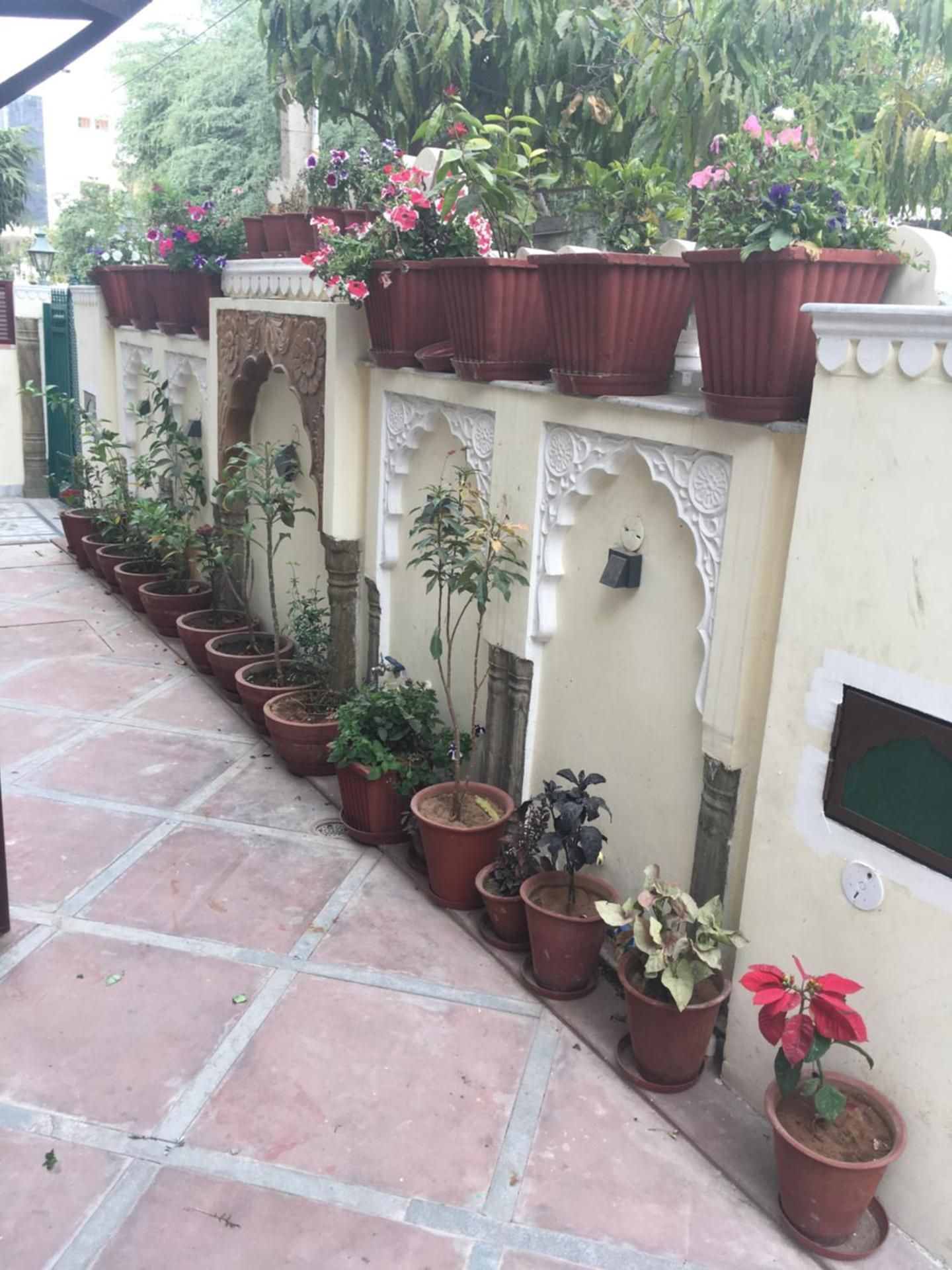 Padlia House