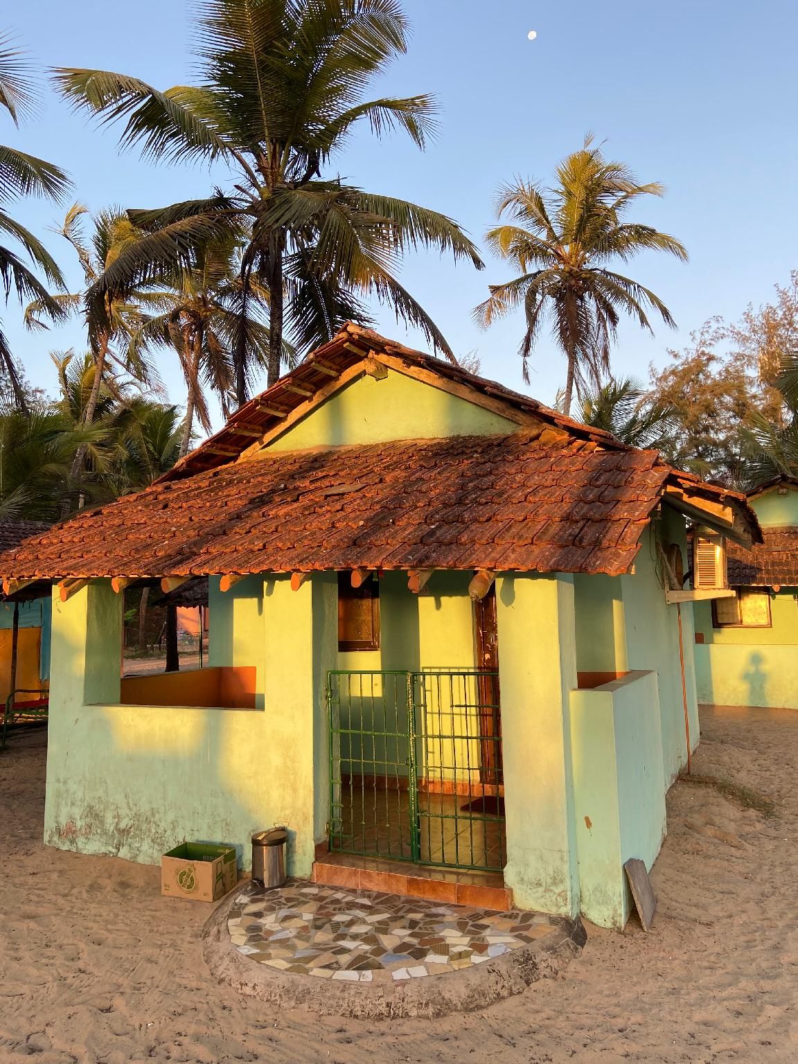 Main Image