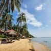 Mi Amor Luxury Island Apartment - 3 minutes to the beach